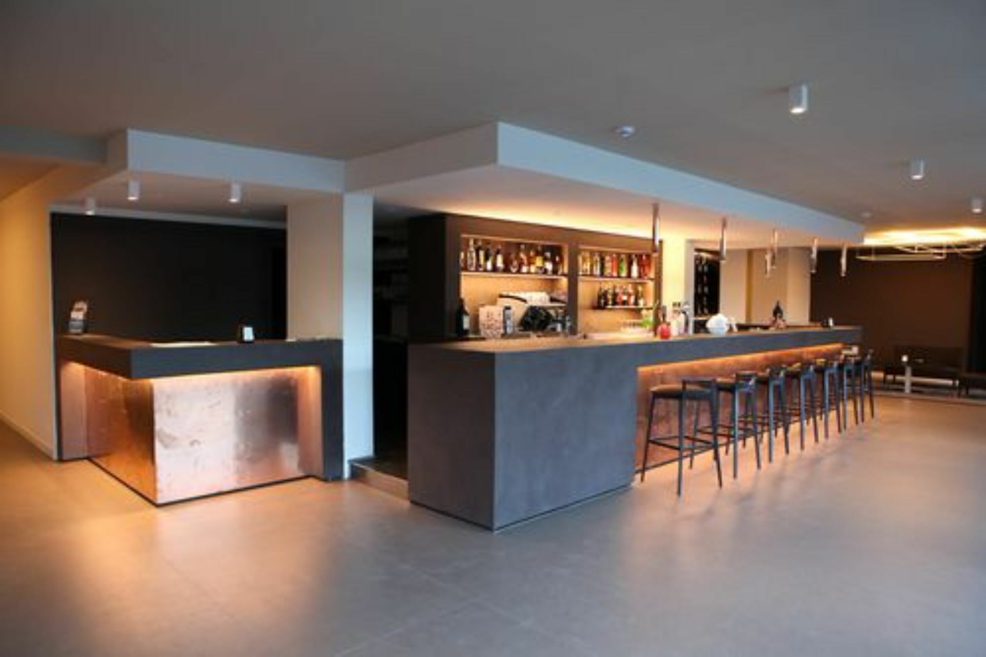 Hotel Palazzo Del Garda & Spa Desenzano del Garda Eksteriør billede