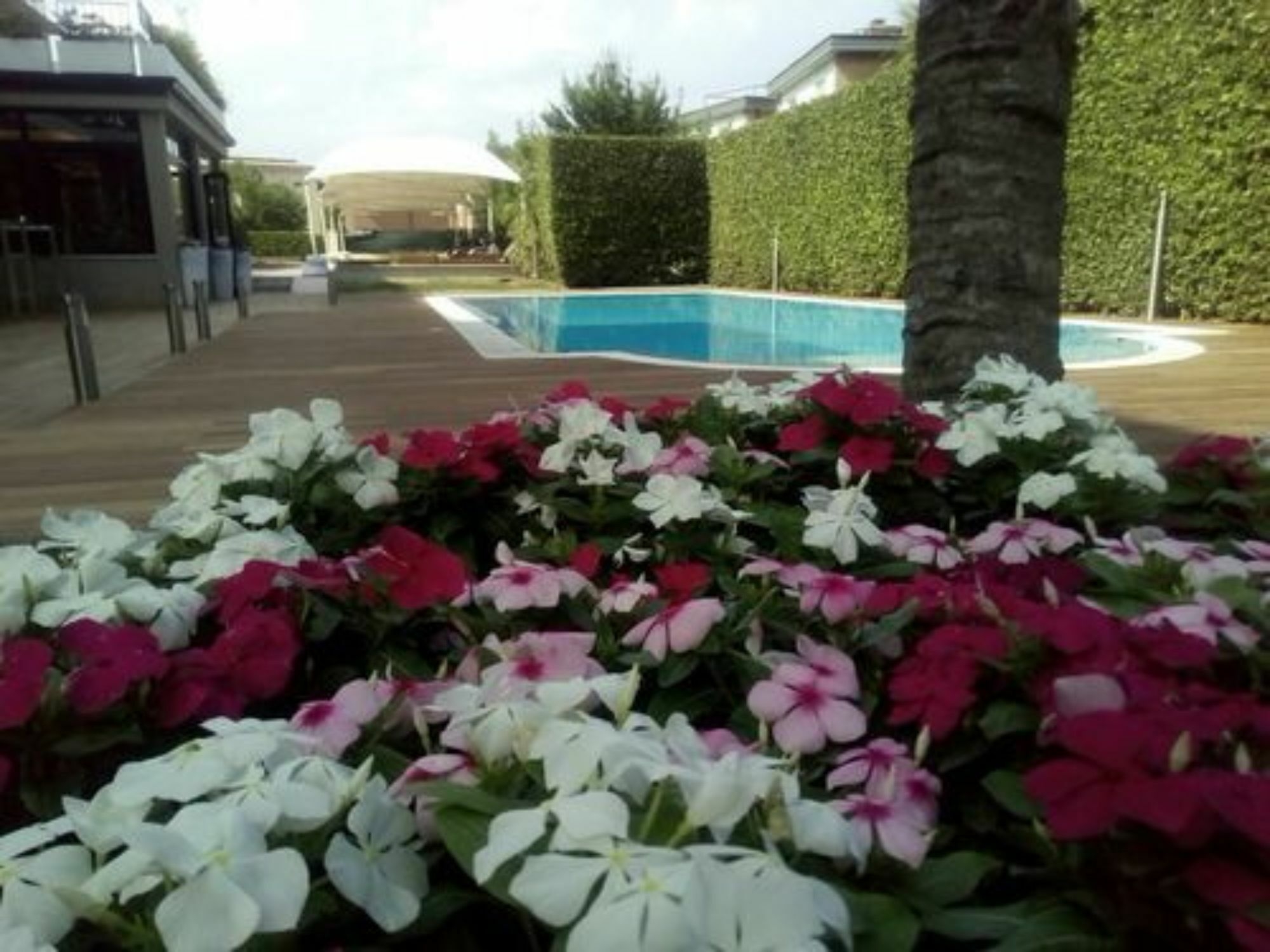 Hotel Palazzo Del Garda & Spa Desenzano del Garda Eksteriør billede